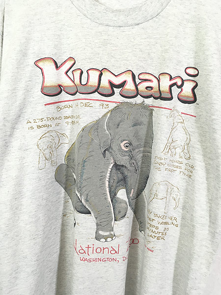 古着 90s USA製 象 ゾウ 「Kumari」 アニマル グラフィック Tシャツ L