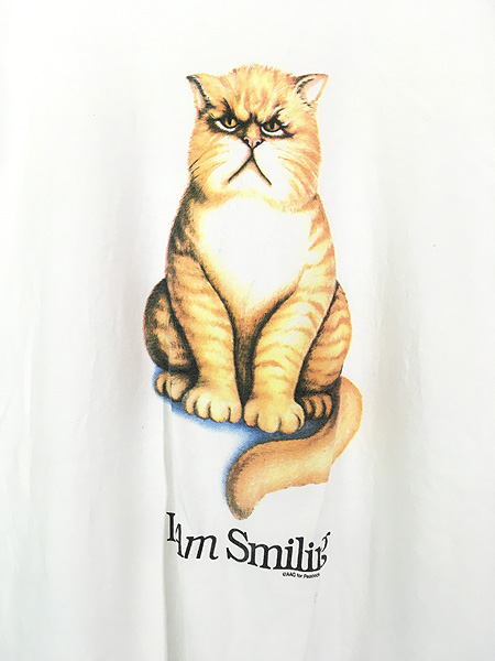 古着 90s USA製 猫 ネコ 「I Am Smiling」 アニマル シュール Tシャツ