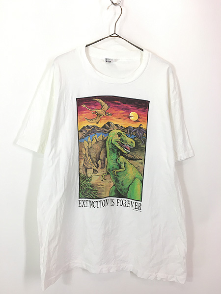 古着 90s USA製 Human-i-Tees 恐竜 イラスト アート Tシャツ XL 古着 