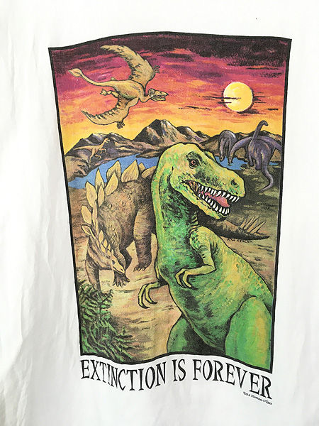 古着 90s USA製 Human-i-Tees 恐竜 イラスト アート Tシャツ XL 古着